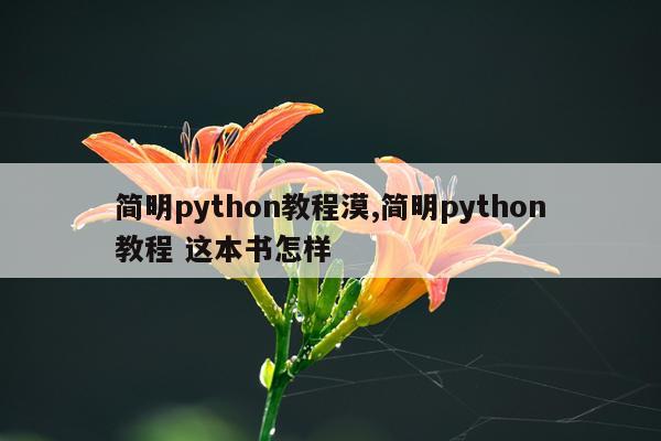 简明python教程漠,简明python教程 这本书怎样