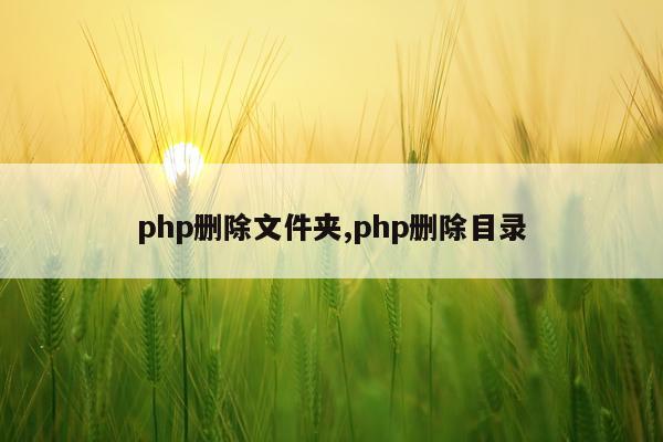 php删除文件夹,php删除目录