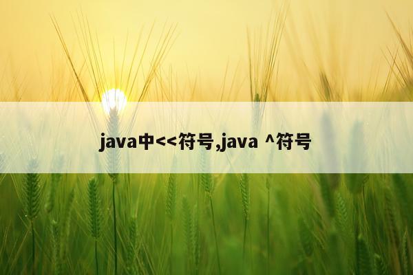 java中