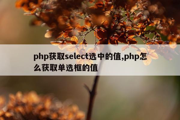 php获取select选中的值,php怎么获取单选框的值