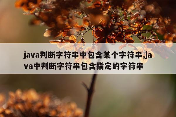 java判断字符串中包含某个字符串,java中判断字符串包含指定的字符串