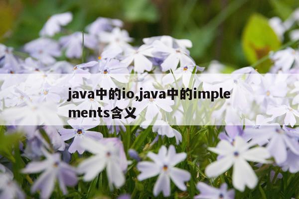 java中的io,java中的implements含义