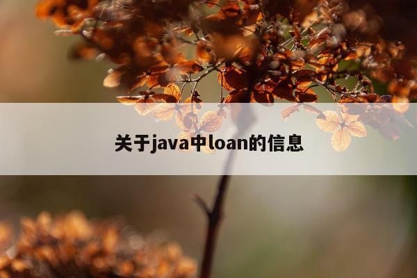 关于java中loan的信息