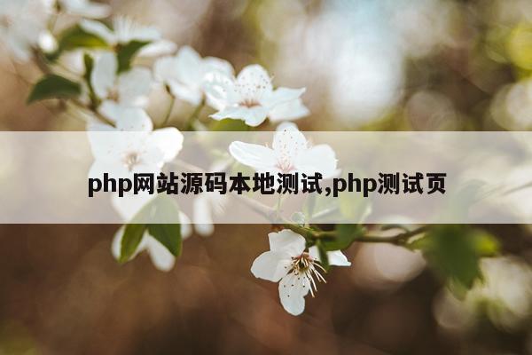 php网站源码本地测试,php测试页