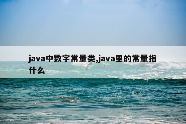 java中数字常量类,java里的常量指什么