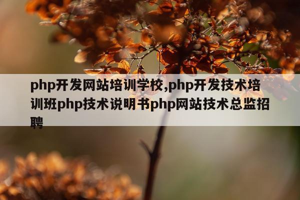 php开发网站培训学校,php开发技术培训班php技术说明书php网站技术总监招聘