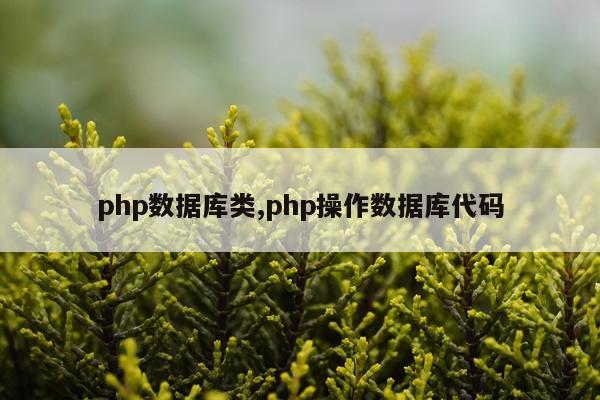 php数据库类,php操作数据库代码
