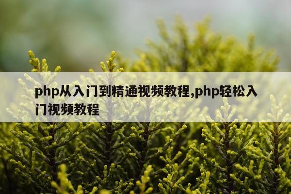php从入门到精通视频教程,php轻松入门视频教程