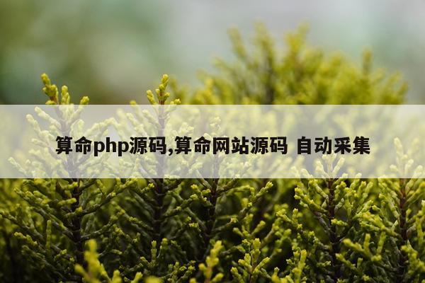 算命php源码,算命网站源码 自动采集