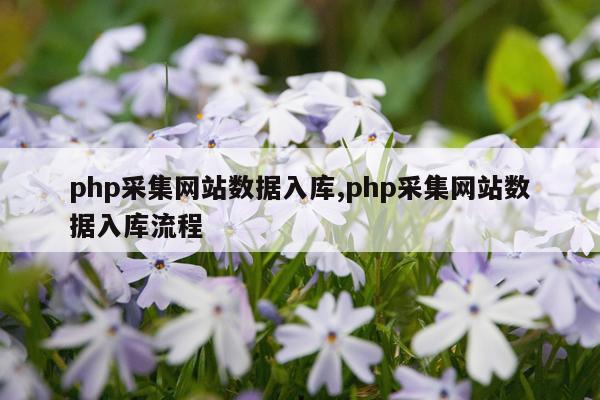 php采集网站数据入库,php采集网站数据入库流程
