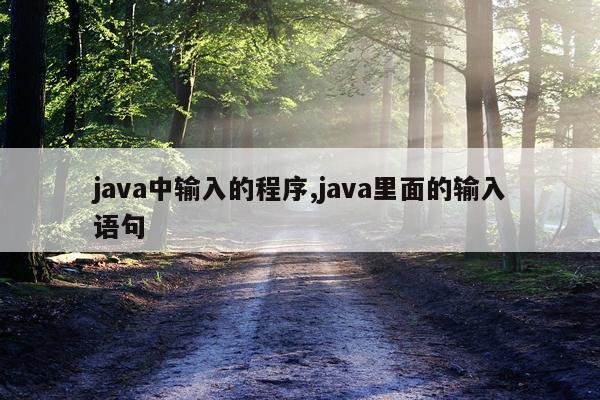 java中输入的程序,java里面的输入语句