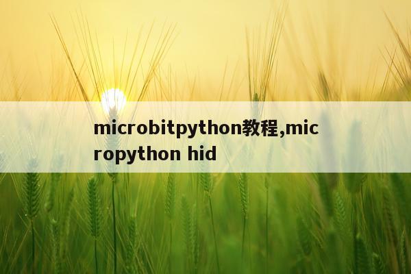 microbitpython教程,micropython hid