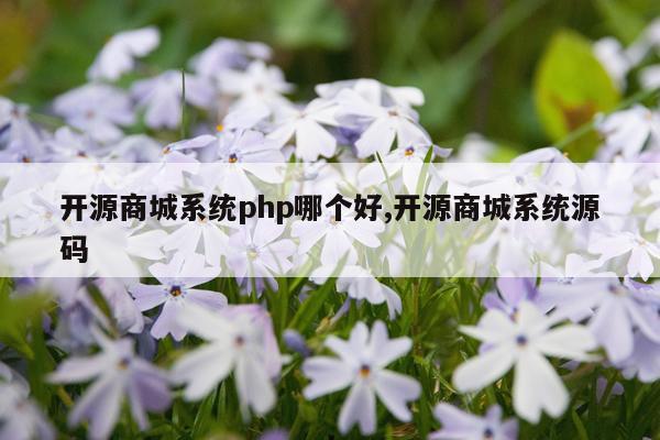 开源商城系统php哪个好,开源商城系统源码