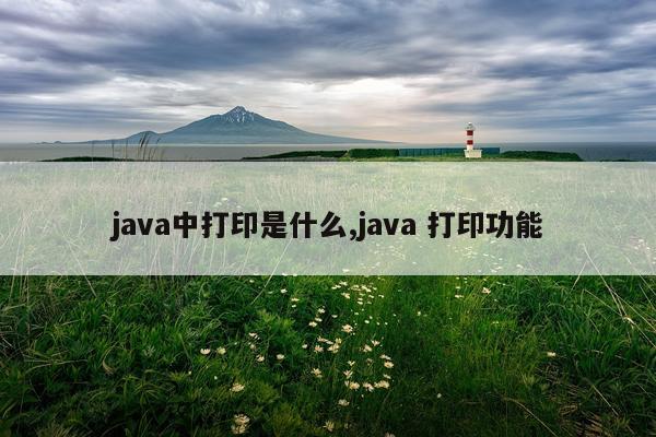 java中打印是什么,java 打印功能