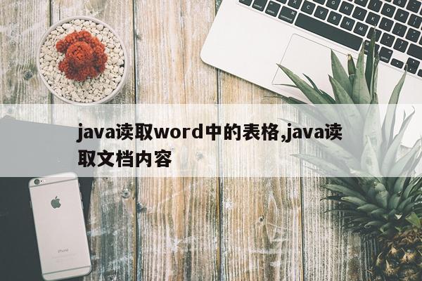 java读取word中的表格,java读取文档内容