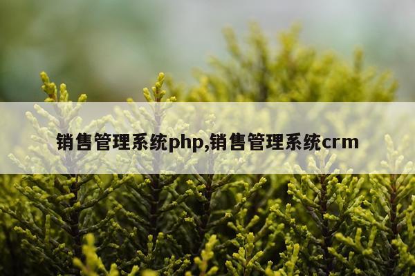 销售管理系统php,销售管理系统crm
