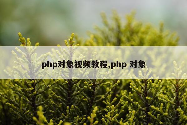 php对象视频教程,php 对象
