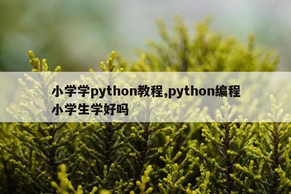 小学学python教程,python编程小学生学好吗