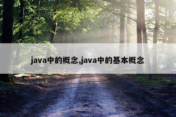 java中的概念,java中的基本概念