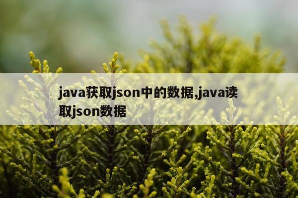 java获取json中的数据,java读取json数据