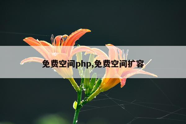 免费空间php,免费空间扩容
