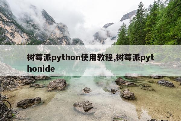 树莓派python使用教程,树莓派pythonide