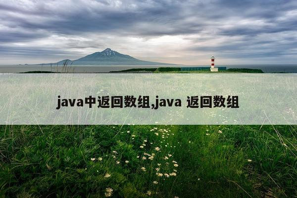 java中返回数组,java 返回数组
