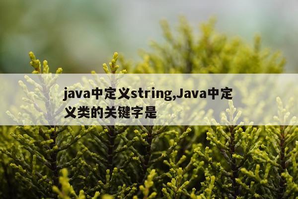 java中定义string,Java中定义类的关键字是