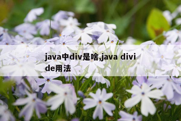 java中div是啥,java divide用法