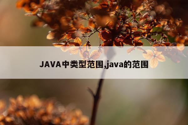 JAVA中类型范围,java的范围