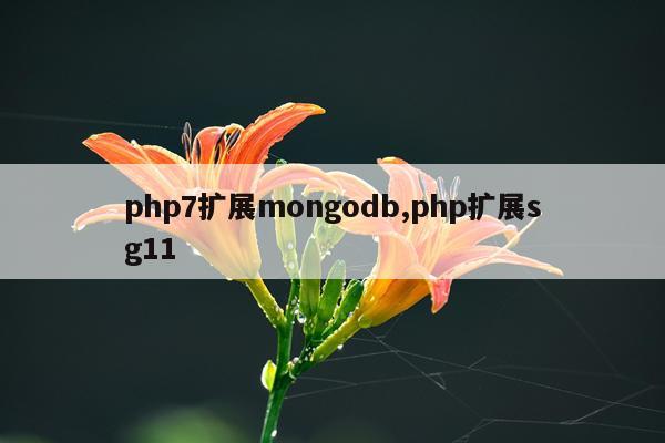 php7扩展mongodb,php扩展sg11