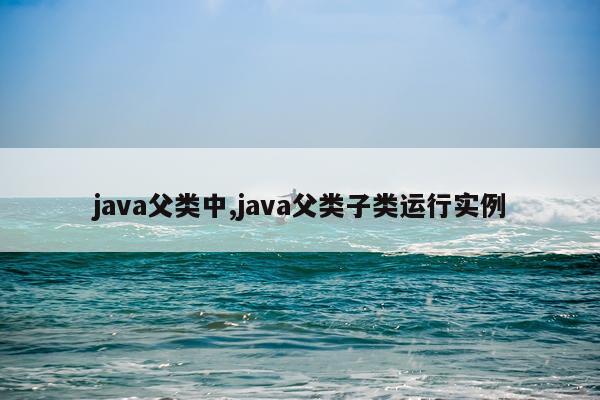 java父类中,java父类子类运行实例