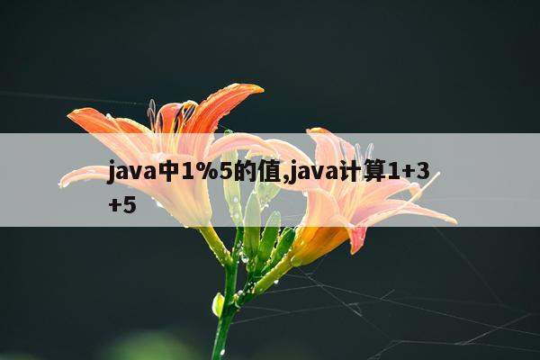 java中1%5的值,java计算1+3+5