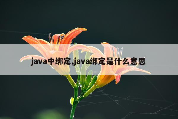 java中绑定,java绑定是什么意思