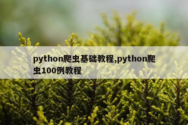 python爬虫基础教程,python爬虫100例教程
