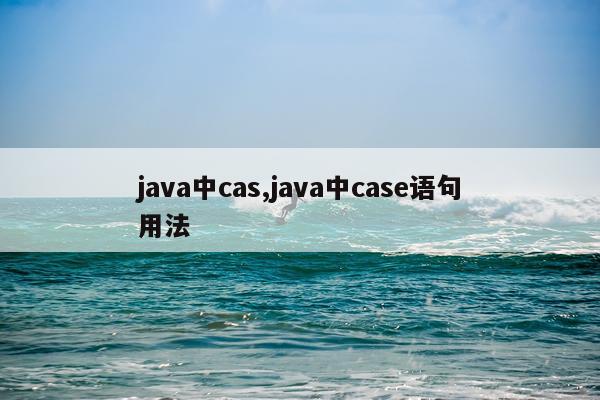 java中cas,java中case语句用法