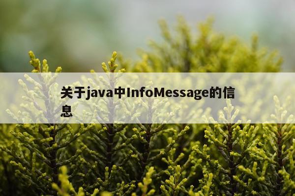 关于java中InfoMessage的信息