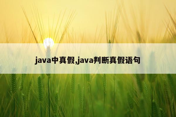 java中真假,java判断真假语句