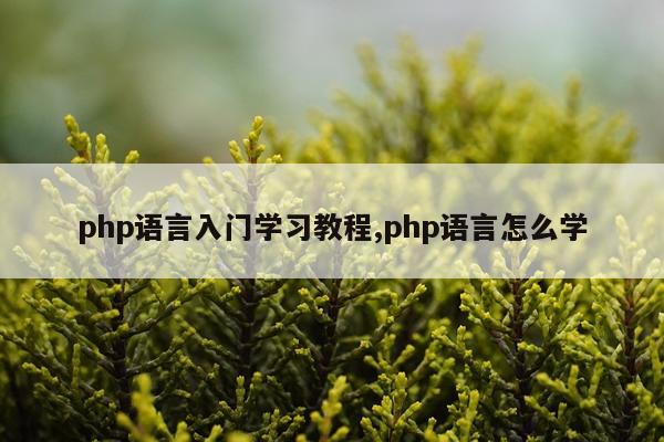 php语言入门学习教程,php语言怎么学