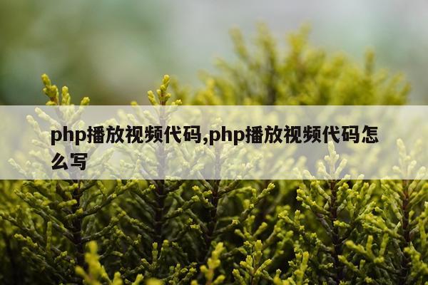 php播放视频代码,php播放视频代码怎么写
