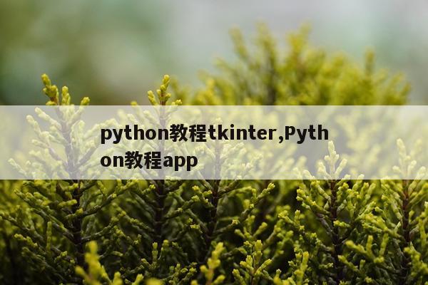 python教程tkinter,Python教程app