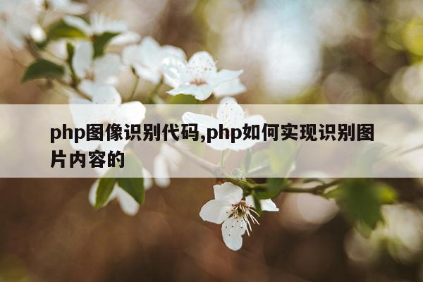 php图像识别代码,php如何实现识别图片内容的