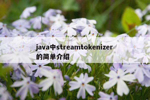 java中streamtokenizer的简单介绍