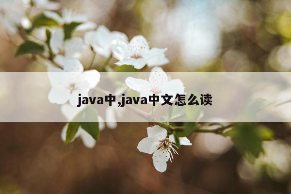 java中,java中文怎么读