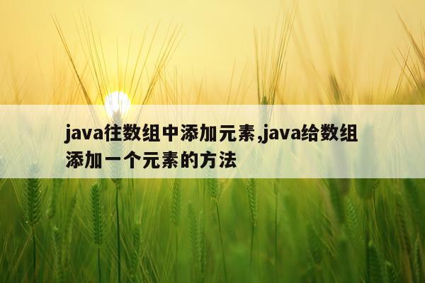java往数组中添加元素,java给数组添加一个元素的方法