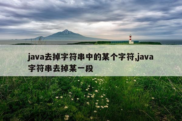 java去掉字符串中的某个字符,java字符串去掉某一段