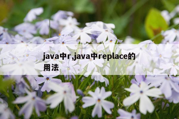 java中r,java中replace的用法