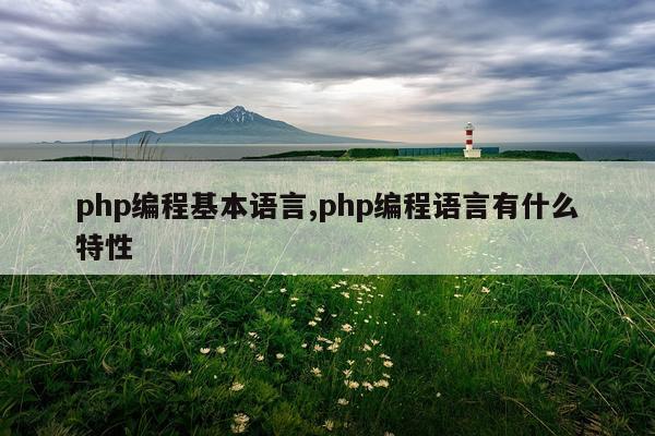php编程基本语言,php编程语言有什么特性