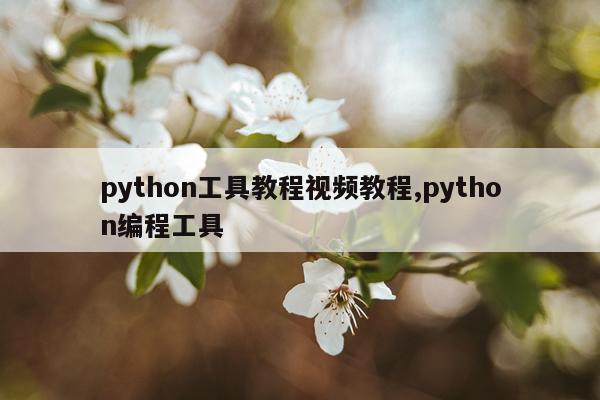 python工具教程视频教程,python编程工具
