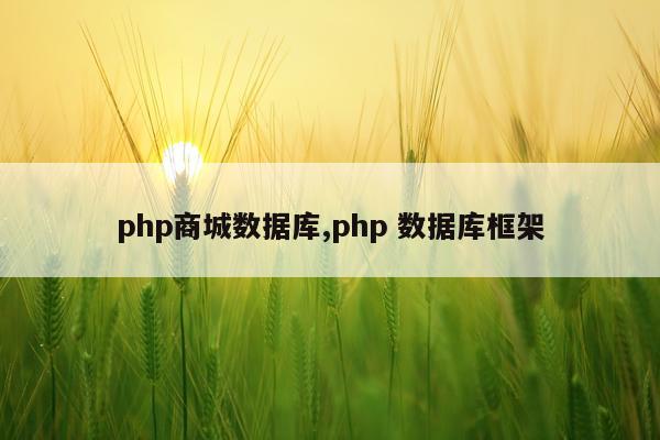 php商城数据库,php 数据库框架